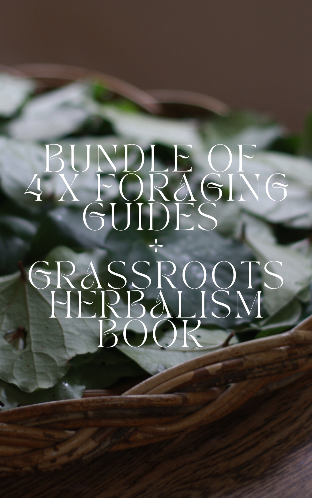5 X Books Bundle : Foraging + Herbalism Wild Botanica