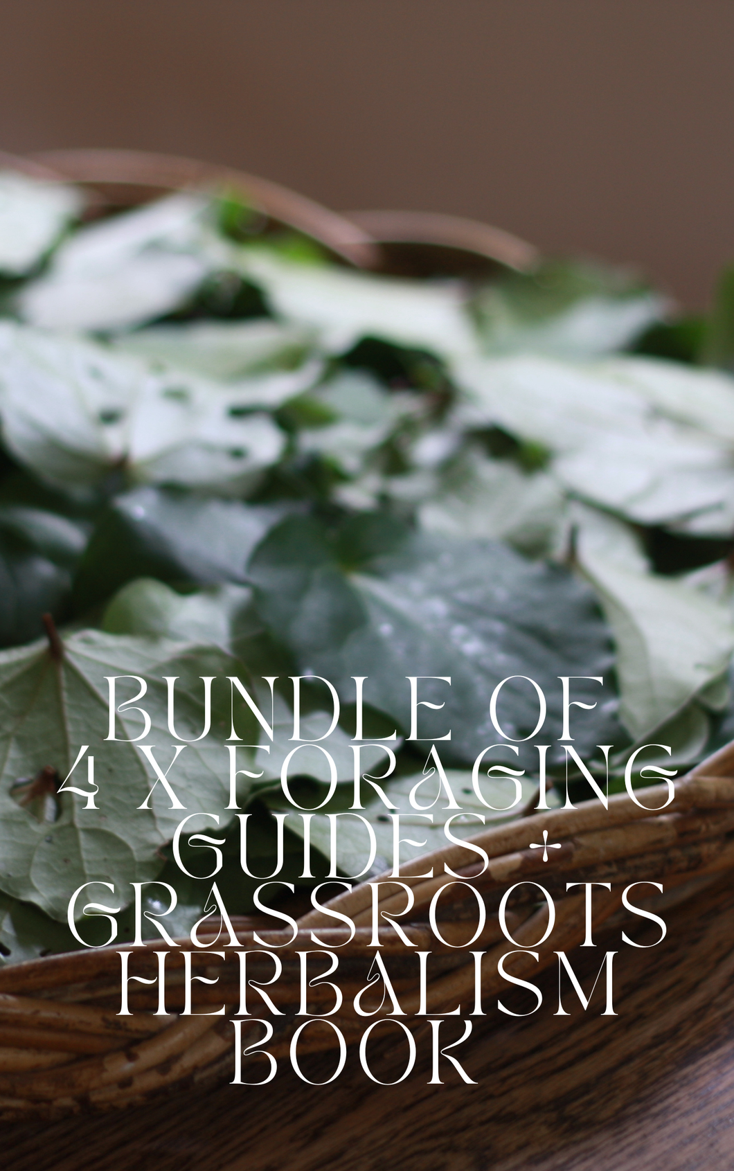 5 X Books Bundle : Foraging + Herbalism